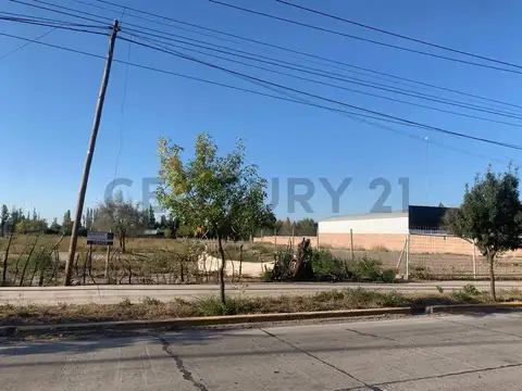 rodriguez peña 6400, Piso 0