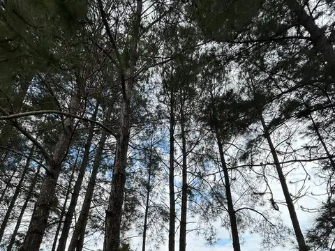 Terreno en Venta 100  mts Fondo