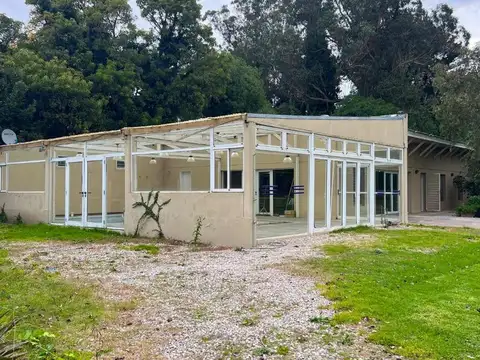 Chingolo entre La Perdiz y La Golondrina 100