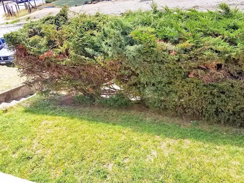 Departamento en Alquiler de 3 dormitorios