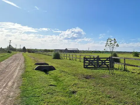 Chacra | Venta | Zarate |15000 M2