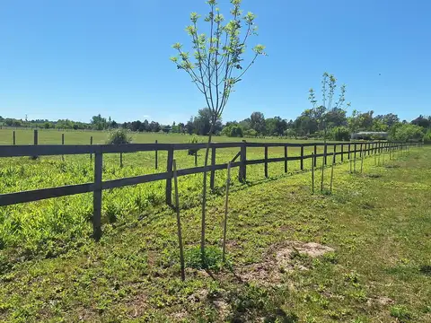 Km 107,13 . RUTA 9 , Lima Pdo. de Zarate
