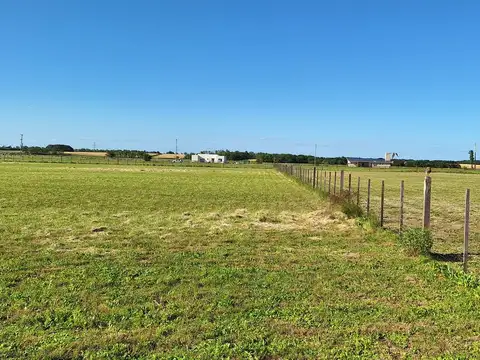 Chacra | Venta | Zarate |15000 M2