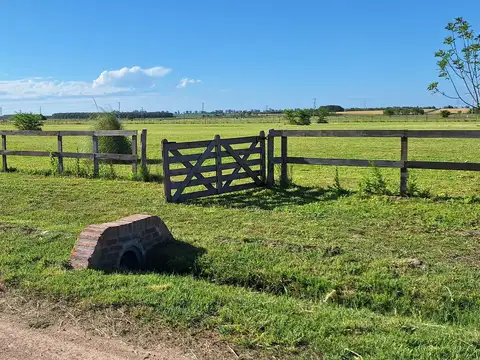 Chacra | Venta | Zarate |15000 M2