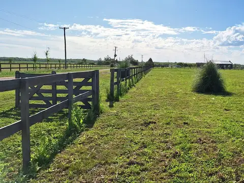 Chacra | Venta | Zarate |15000 M2