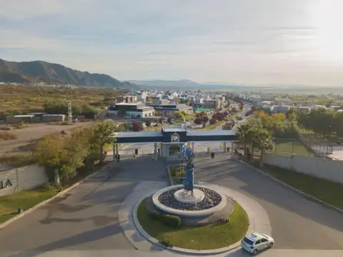 Regalado Olguín 900