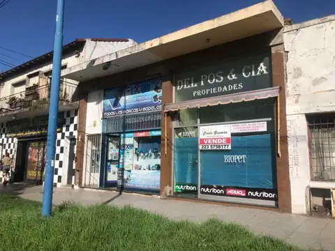 Avenida Jacinto Peralta Ramos 74