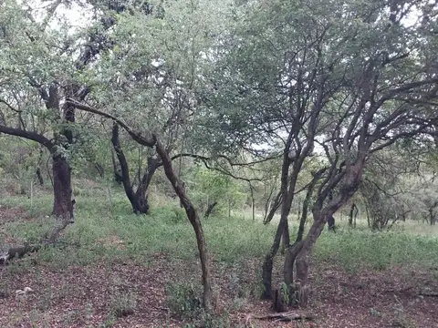 Terreno en Venta de 2600,0 m2