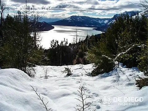 VENTA OPORTUNIDAD : 292,49 Hectáreas increíbles con vista al Lago Gutiérrez Ruta 40 - Bariloche