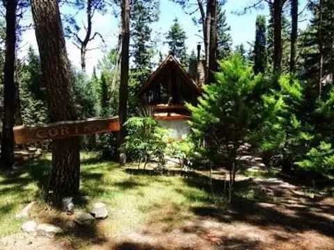 Corina - disponible temporada 2026