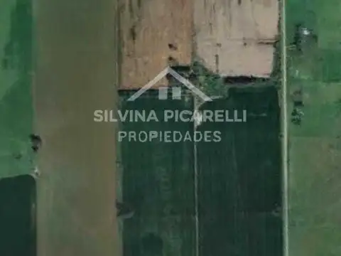 VENTA EN CHENAUT, EXALTACION DE LA CRUZ- HECTAREAS 100