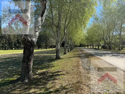 Terreno en Venta de 1183,0 m2