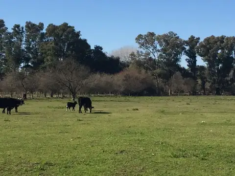 San Nicolas nº 360 esq Quiroga