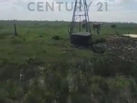 Venta - Campo - Barrancas  ( https: maps.app.goo.gl/AirosNBNMbpbz2n19 )