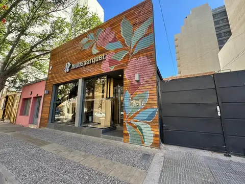 Carlos H. Rodríguez 500