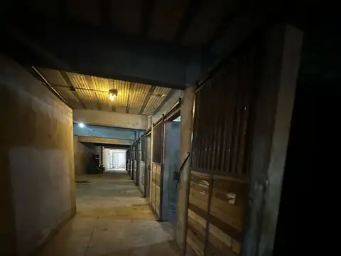 STUD EN ALQUILER - LA PLATA