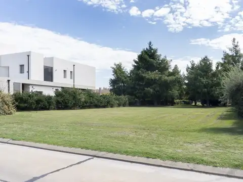 AV. ARTURO ILLIA 1515