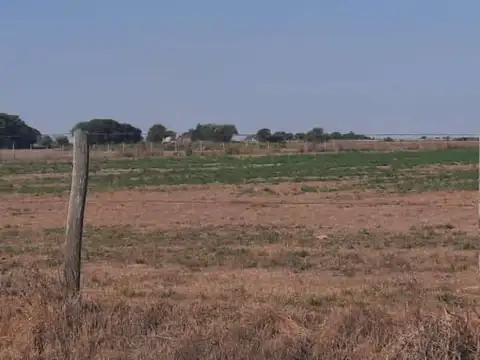 Campo en Venta Mixto