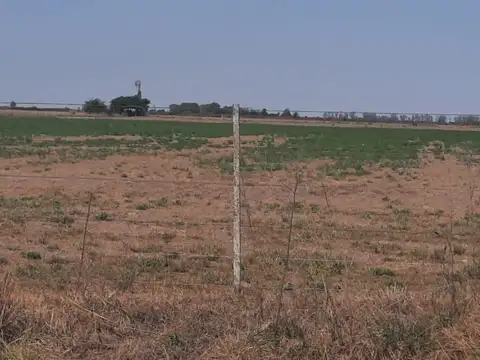 VENDO 18 HECTAREAS APTAS PARA GANADERIA O AGRICULTURA