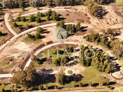 Av. Jorge Newbery  al 5000