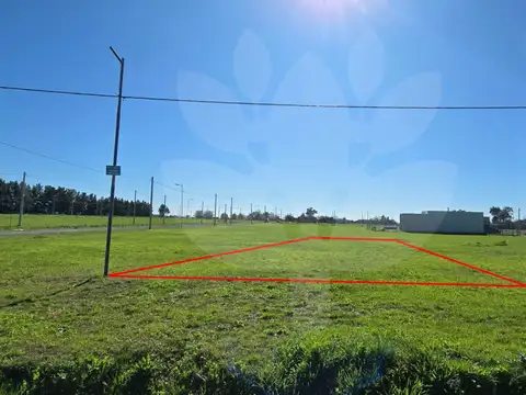 Terreno en Venta 28  mts Fondo