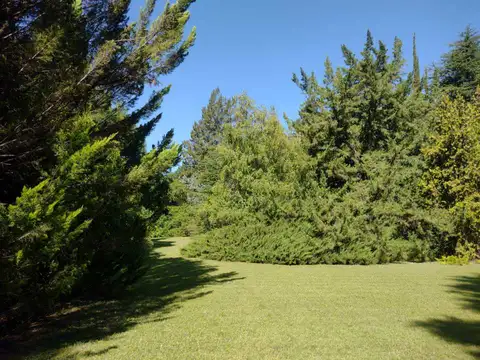 Quinta en Venta con 4 cocheras