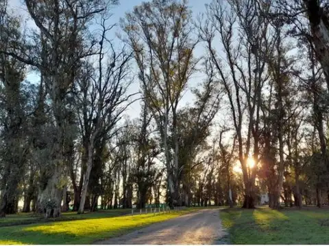 Terreno en venta - 2.000mts2 - Santa Inés, Luján