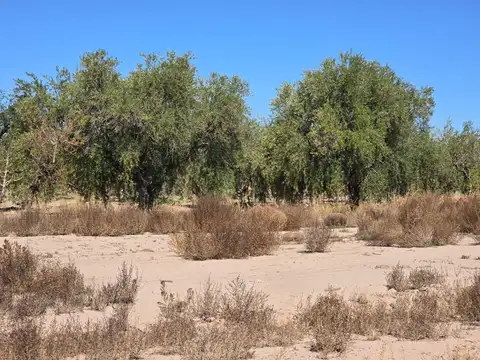 Terreno en Venta en Cruz De Piedra, USD 12.000