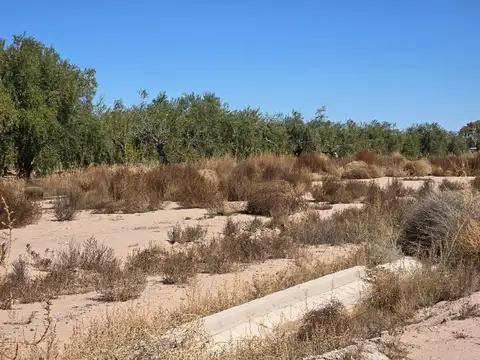 Terreno en Venta de 305,0 m2