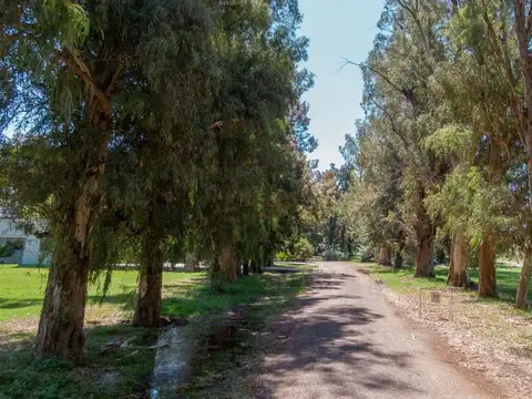 Terreno Lote  en Venta en Casuarinas del Pilar, Zelaya, Pilar