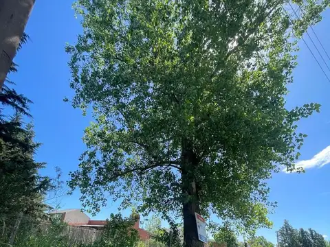 Terreno en Venta en La Plata, USD 28.000