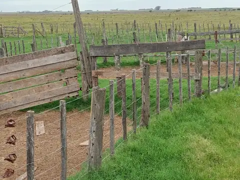 Campo en Hughes, Santa Fé