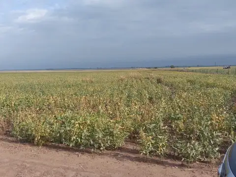 Campo en Venta de 1.716  ha