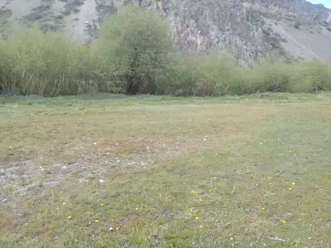 Campo en Venta de 1  ha