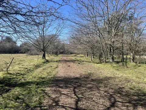 Campo 7.6 has en venta en Marcos Paz