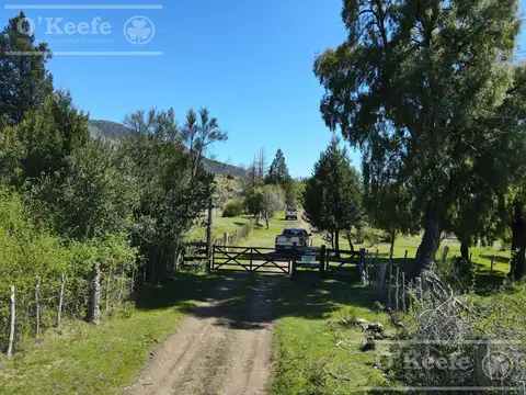 Campo en venta 150 has Cuesta del Ternero, Rio Negro con Casa.