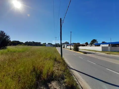 EXCELENTE TERRENO COMERCIAL SOBRE PASEO 139