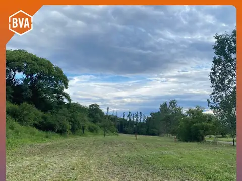 El Tipal, Los Chalchaleros