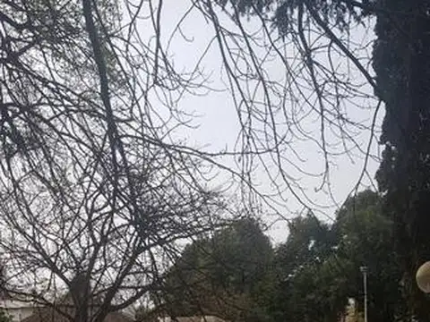 Casa en Alquiler con 1 cochera