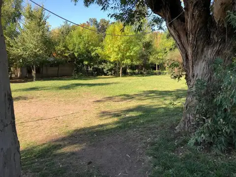 EXCELENTE LOTE DE 884M2 A UNA CUADRA DE RUTA 24 EN FRANCISCO ALVAREZ