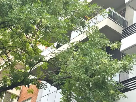 Departamento en venta en Saavedra