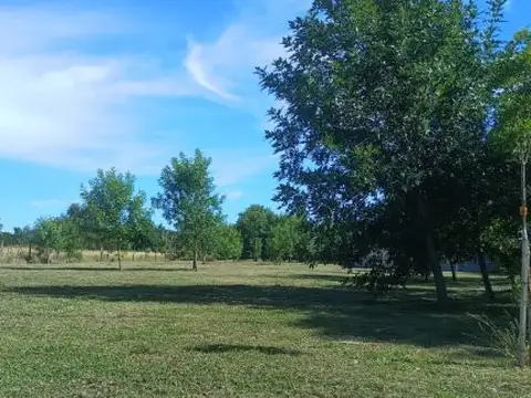 Terreno en Venta 52,30  mts Fondo