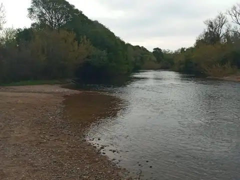 Chacra de 23, 4 hectáreas, lindera al arroyo San Carlos. Gran oportunidad!