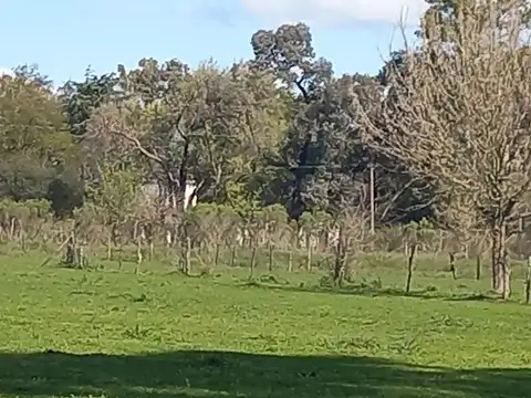 Campo en Entre Rios- La Paz- San Gustavo