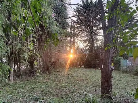 Terreno en Venta de 380,0 m2