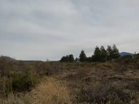 Terreno en Venta de 2006,0 m2