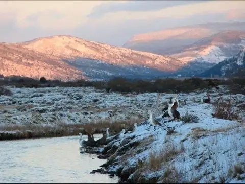 Terreno en Venta de 2006,0 m2