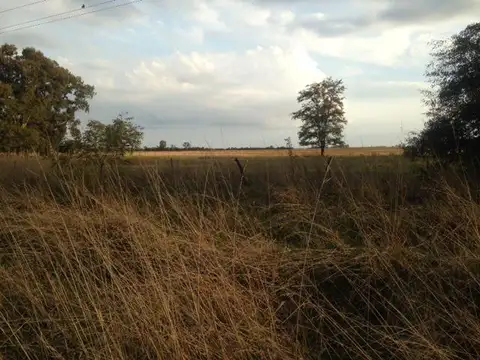 Campo 30HA apto para cualquier destino