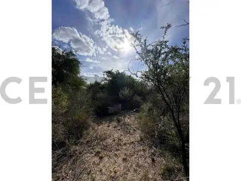 Terreno en Venta 139,50  mts Fondo