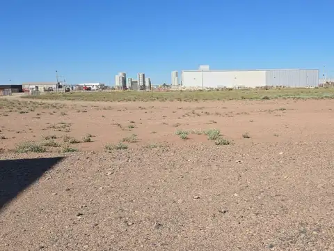 Galpon en Alquiler 100  mts Fondo